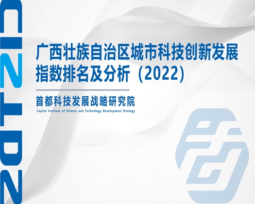 插进去操我视频一直日你【成果发布】广西壮族自治区城市科技创新发展指数排名及分析（2022）